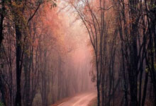 Nvidia Partner Ignites Dow Jones Futures for a Bullish Week: Unlocking the Next Era of Tech Innovation and Investment