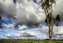 Nvidia Partner Ignites Dow Jones Futures for a Bullish Week: Unlocking the Next Era of Tech Innovation and Investment