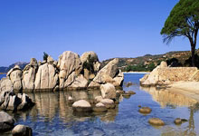 Nvidia Partner Ignites Dow Jones Futures for a Bullish Week: Unlocking the Next Era of Tech Innovation and Investment